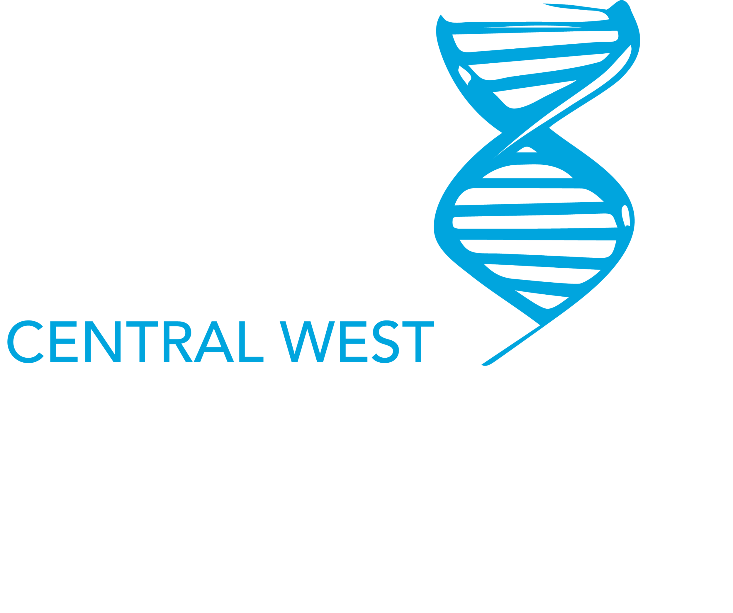 Academy Logo